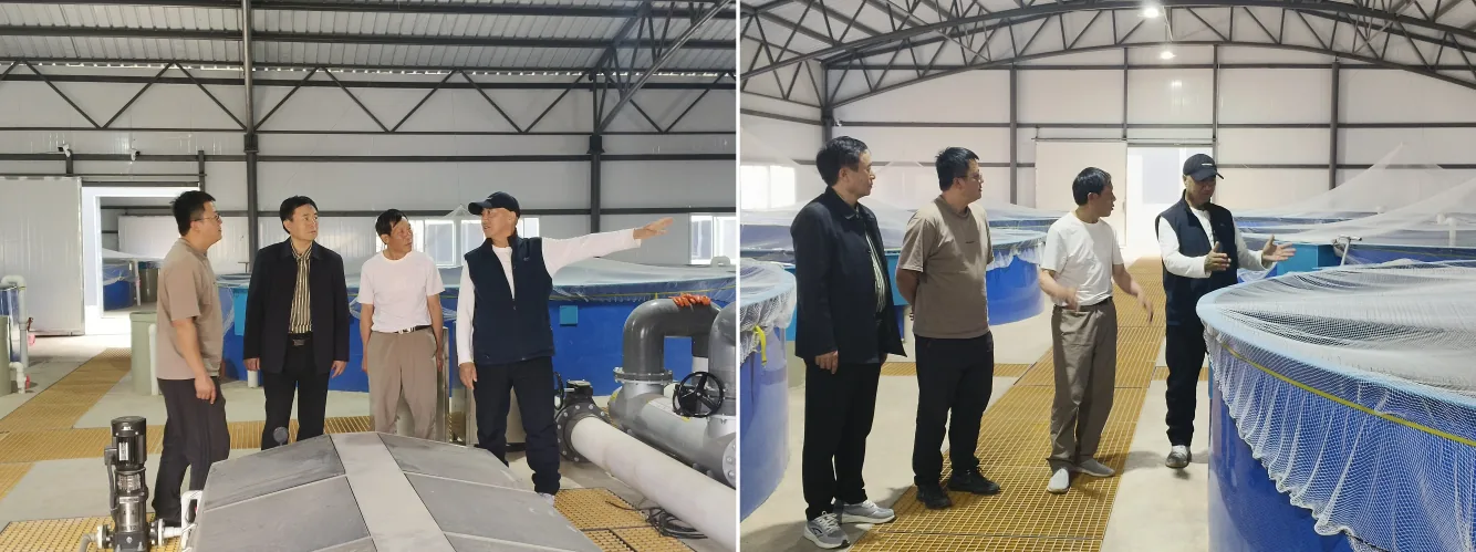 丽江西促会联合丽江融媒体中心开展永胜县会员单位及非遗项目调研采访工作简报原文配图