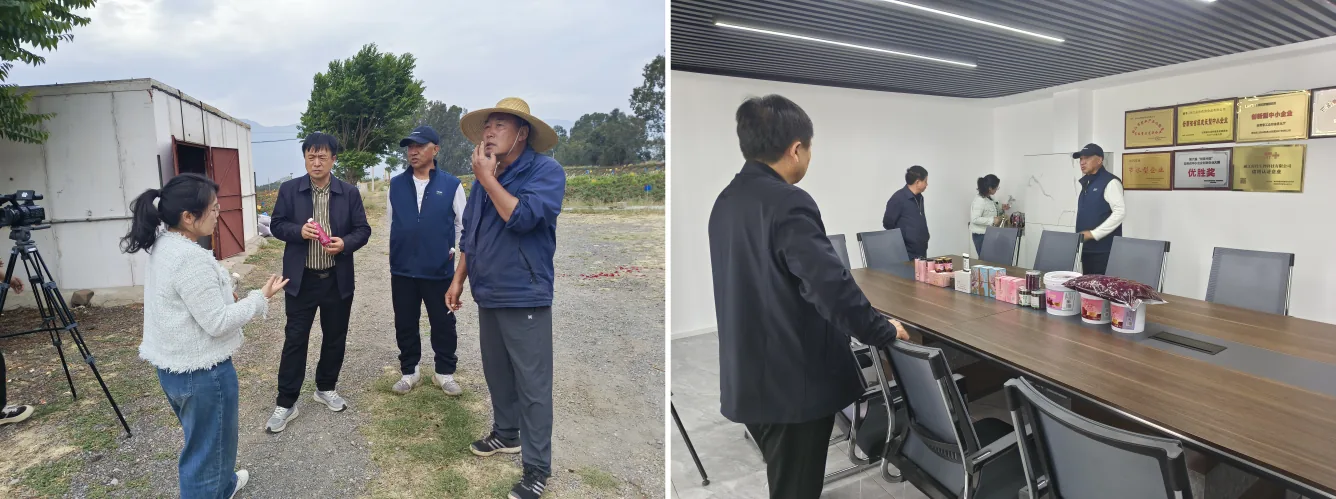 丽江西促会联合丽江融媒体中心开展永胜县会员单位及非遗项目调研采访工作简报原文配图