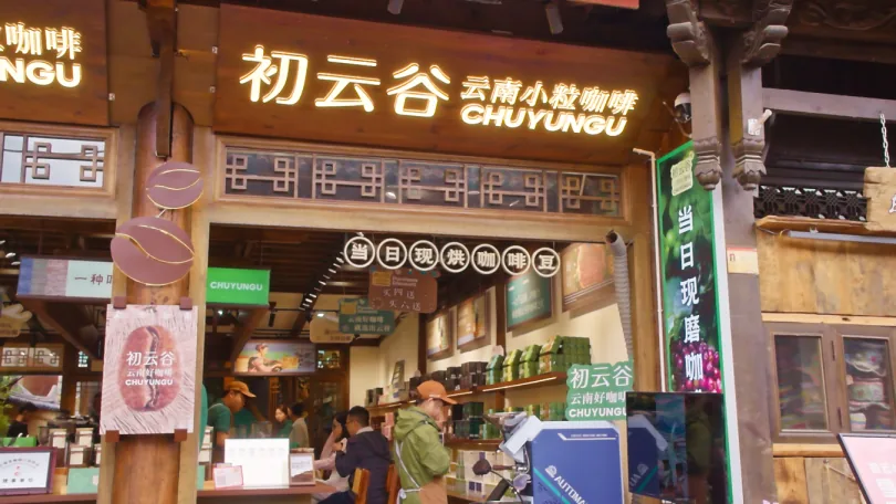 丽江西促会赴丽江初云谷咖啡考察调研工作简报原文配图