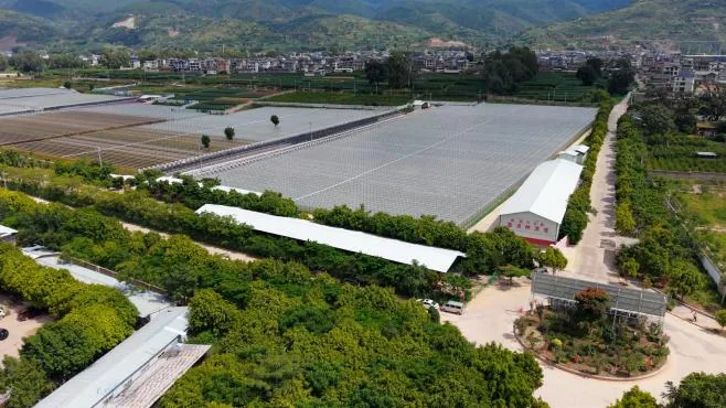丽江西促会赴理事单位程海保尔参加群众文化活动并开展座谈交流原文配图
