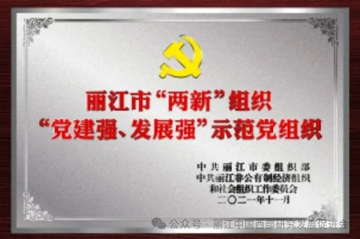 丽江嘉和集团原文配图
