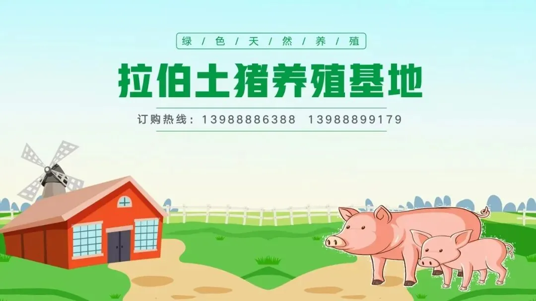 宁蒗拉伯农产品开发有限公司原文配图