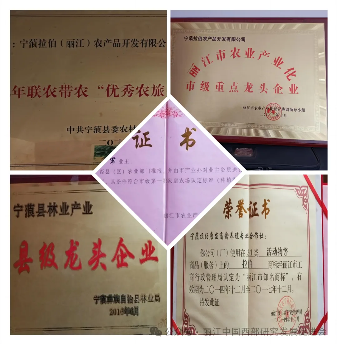 宁蒗拉伯农产品开发有限公司原文配图