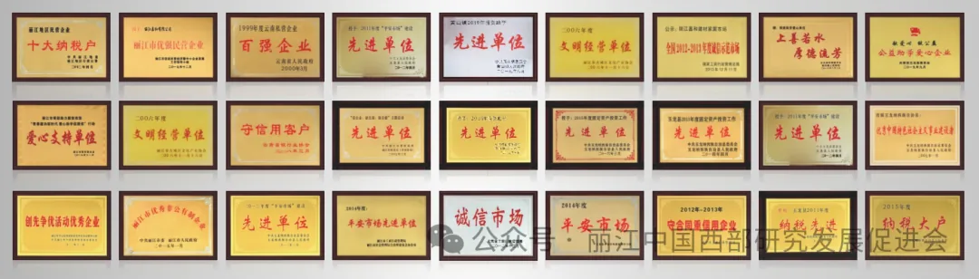 丽江嘉和集团原文配图