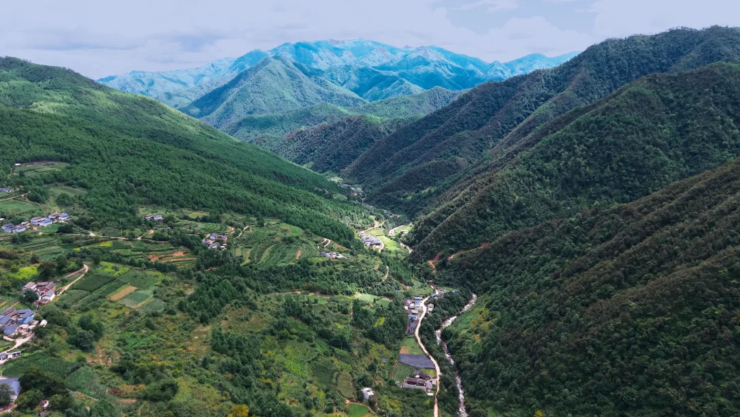 高原振兴的“德鼎力量”:普米族夫妇扎根乡土,助乡振兴原文配图