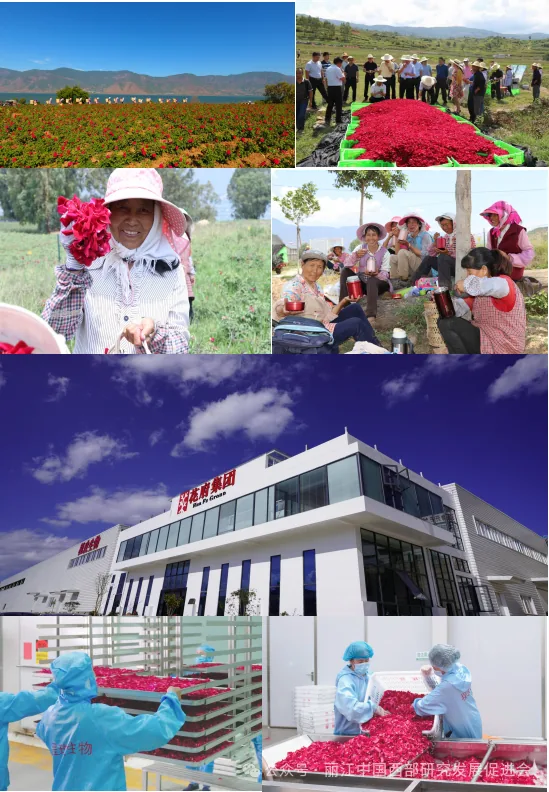 丽江程玫生物科技有限公司原文配图