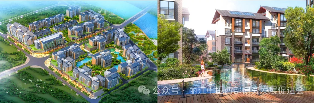 丽江嘉和集团原文配图